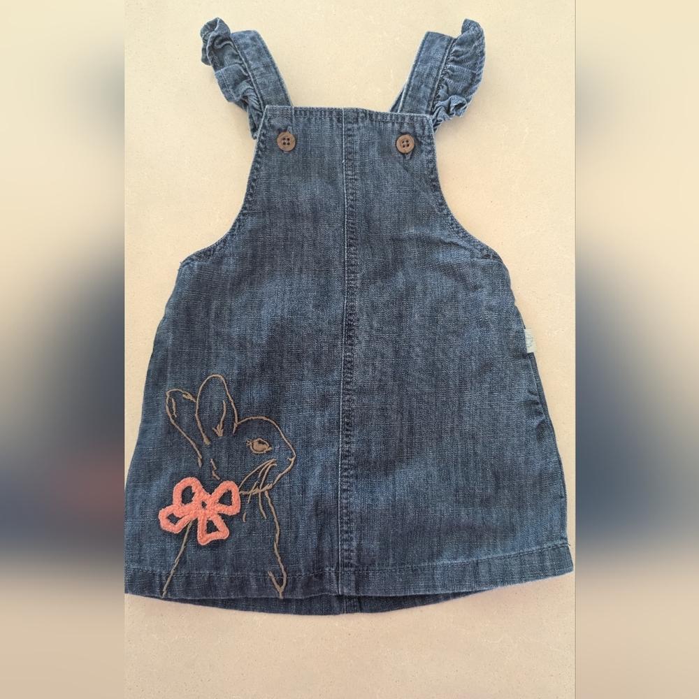 Peter Rabbit Denim Style Dress